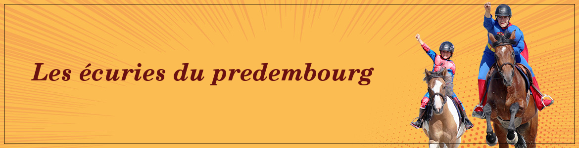 Les écuries du predembourg 